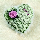 GYPSOPHILA HEART